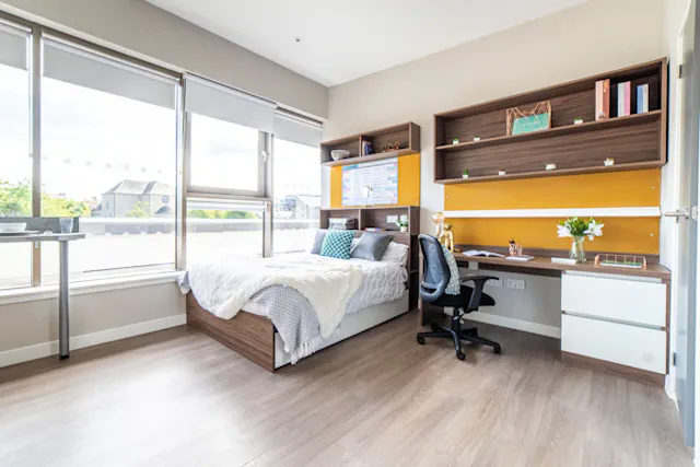 Studio Platinum - City View room image 1