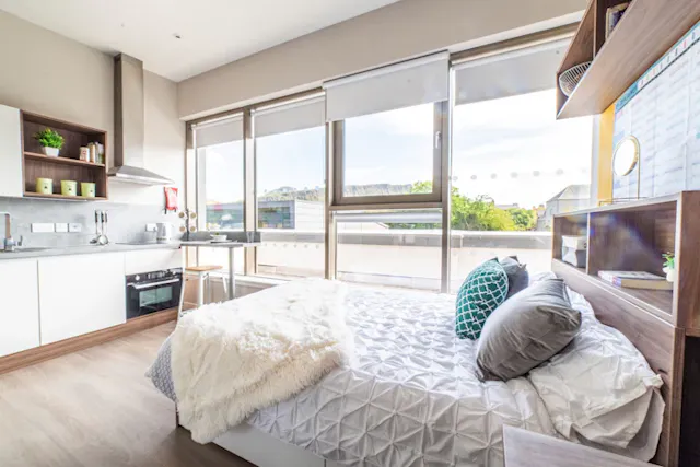 Studio Platinum - City View room image 4
