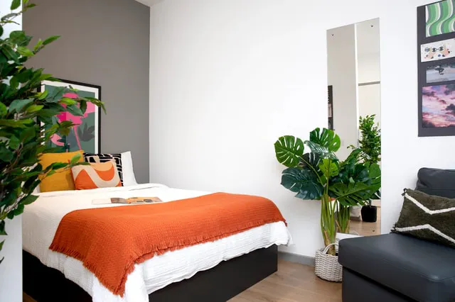 Studio Medium Standard Double room image 1