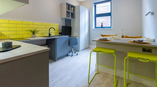 Bronze Accessible Studio room image 4