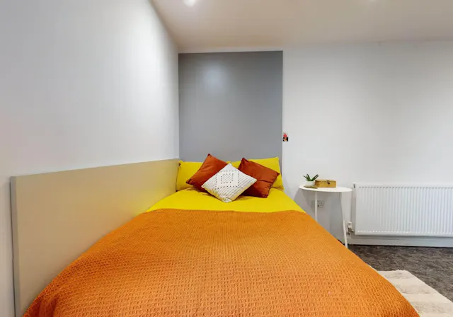 Bronze En Suite Deluxe room image 2