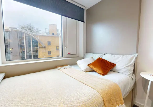 Bronze En Suite Plus room image 2