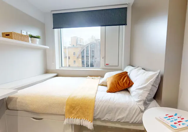 Bronze En Suite Plus room image 3
