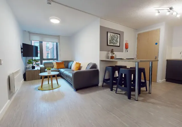 Bronze En Suite Plus room image 2