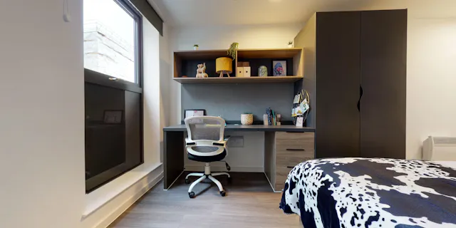 Bronze Ensuite Lower Level room image 2