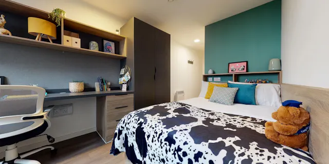 Bronze Ensuite Lower Level room image 1