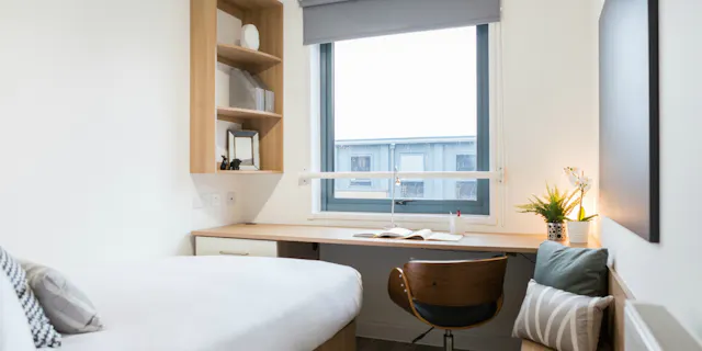 Bronze Ensuite Lower Level room image 1