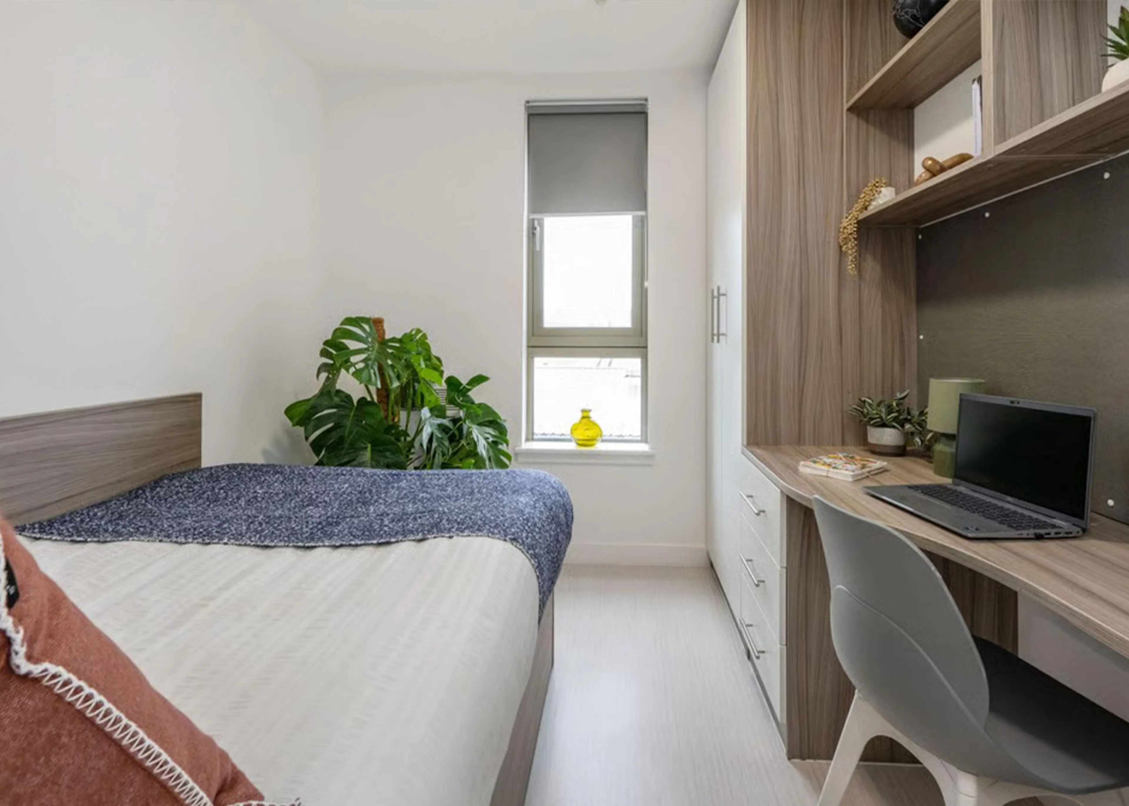 Bronze Ensuite ROOM 1