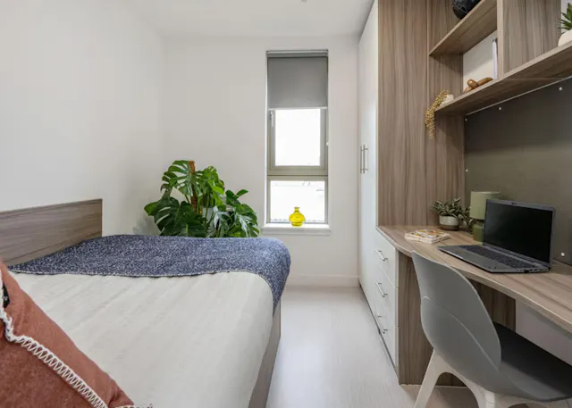 Bronze Ensuite room image 2