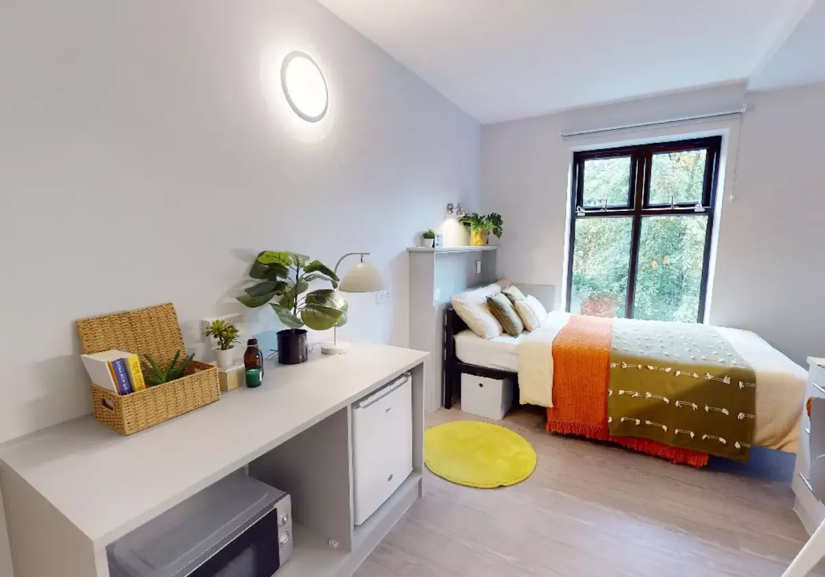 Bronze Mini Studio ROOM