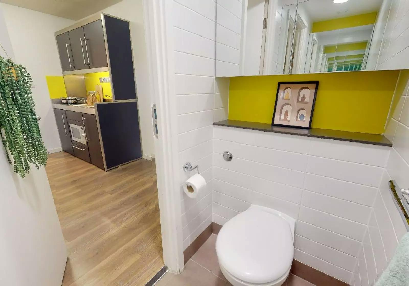 Bronze One Bed Apartment Plus