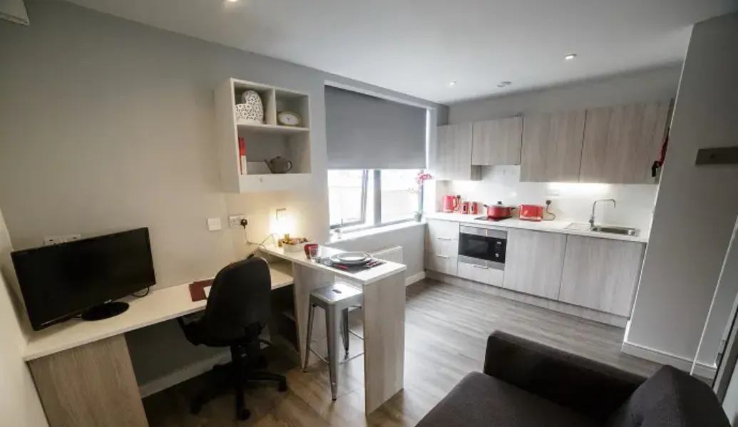 Bronze Plus Studio (Higher Floors) KITCHEN 1