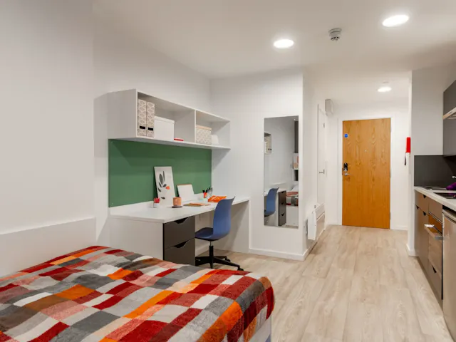 Bronze Studio room image 3