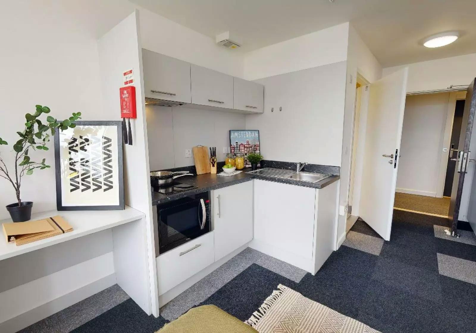 Bronze Studio Deluxe