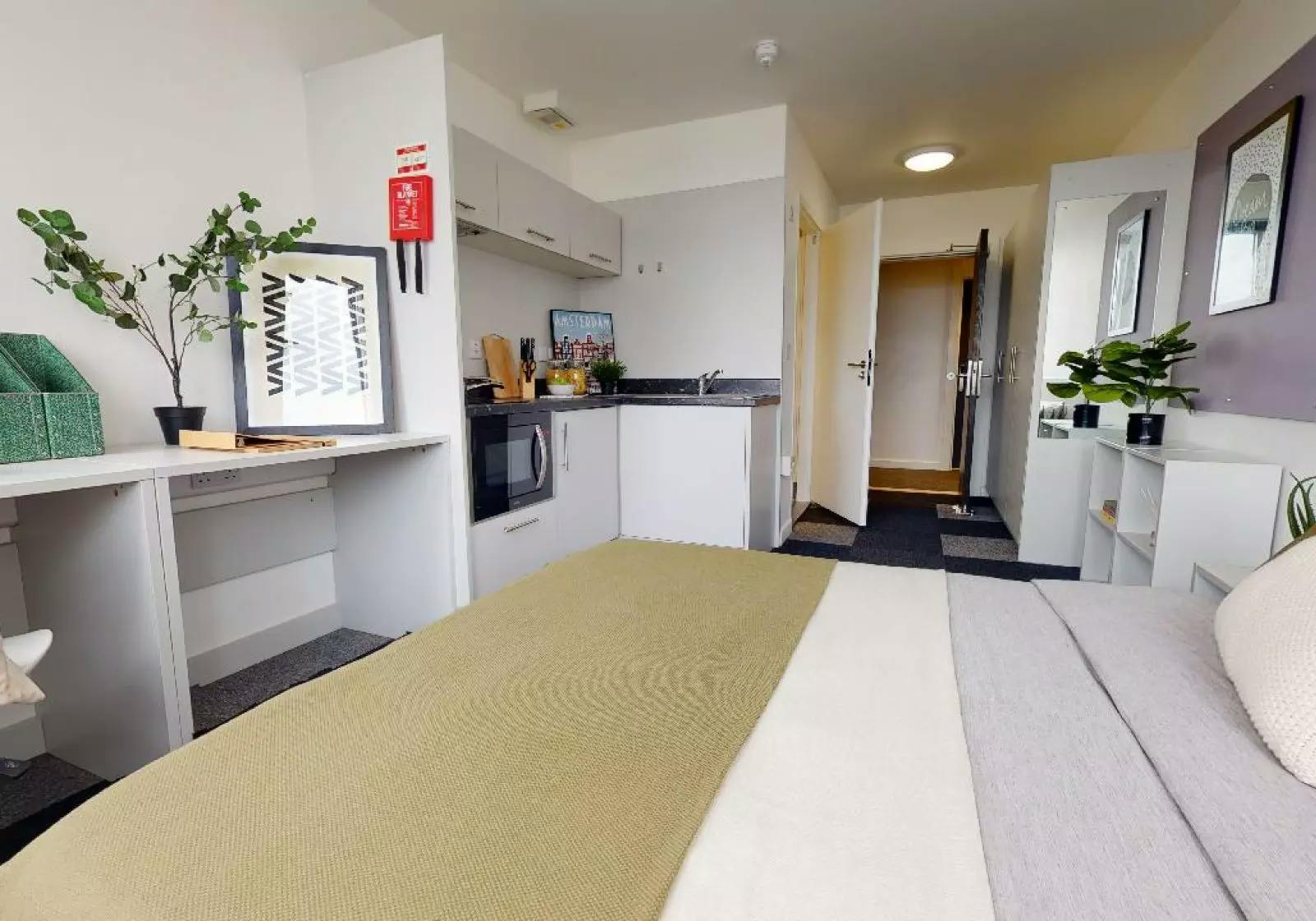 Bronze Studio Deluxe