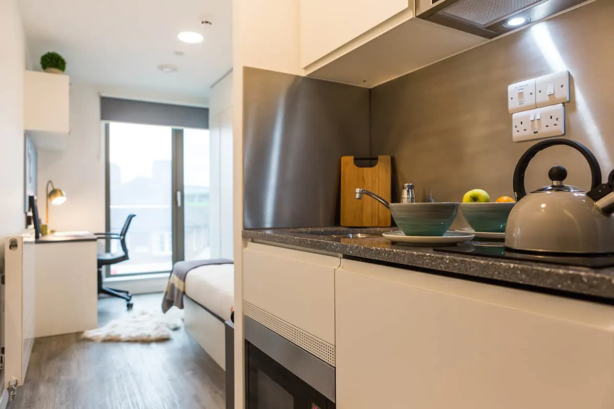 Bronze Studio Lower Level KITCHEN 2