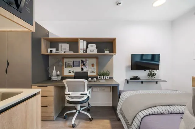 Bronze Studio Penthouse Level room image 1