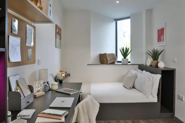 Bronze Studio Plus room image 1