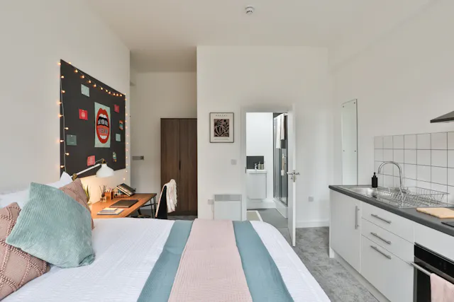 Bronze Studio Plus room image 1