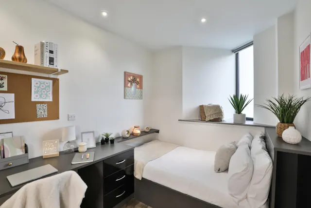 Bronze Studio Plus room image 3