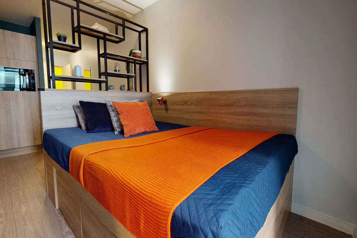 Bronze Studio Plus ROOM
