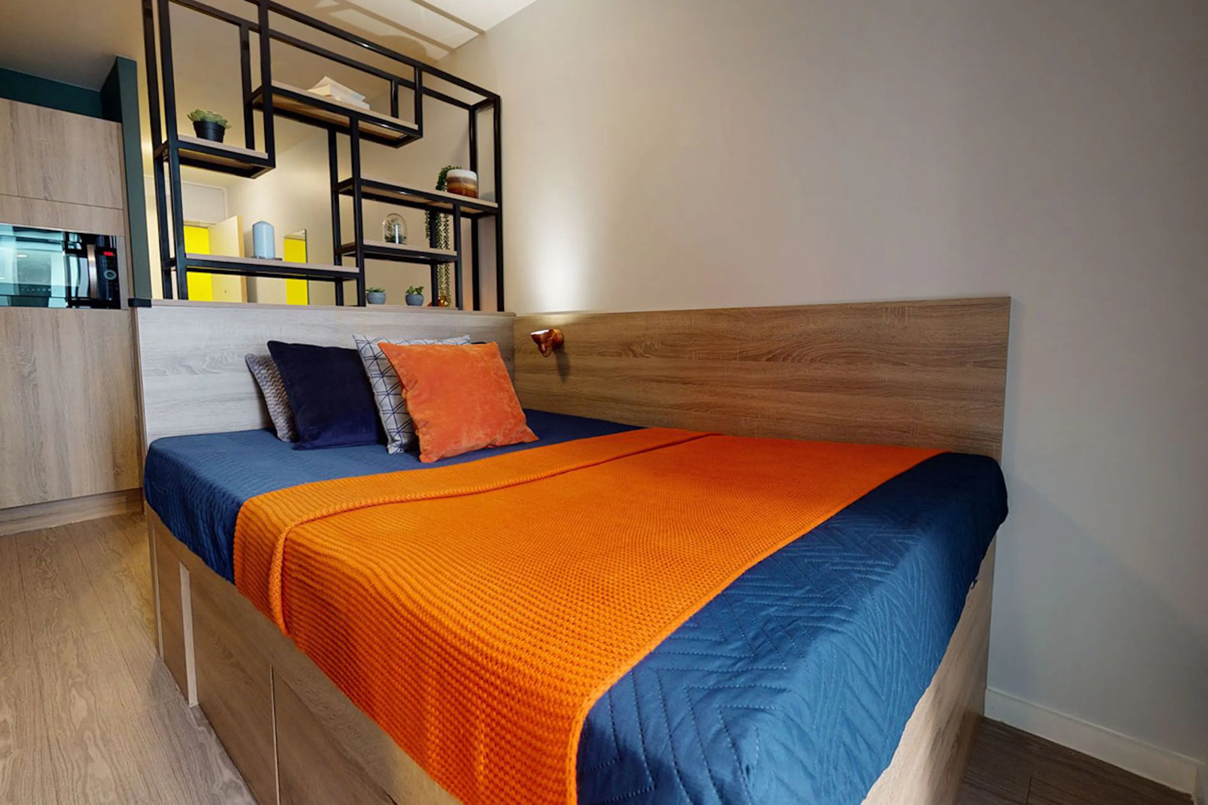 Bronze Studio Plus ROOM 3