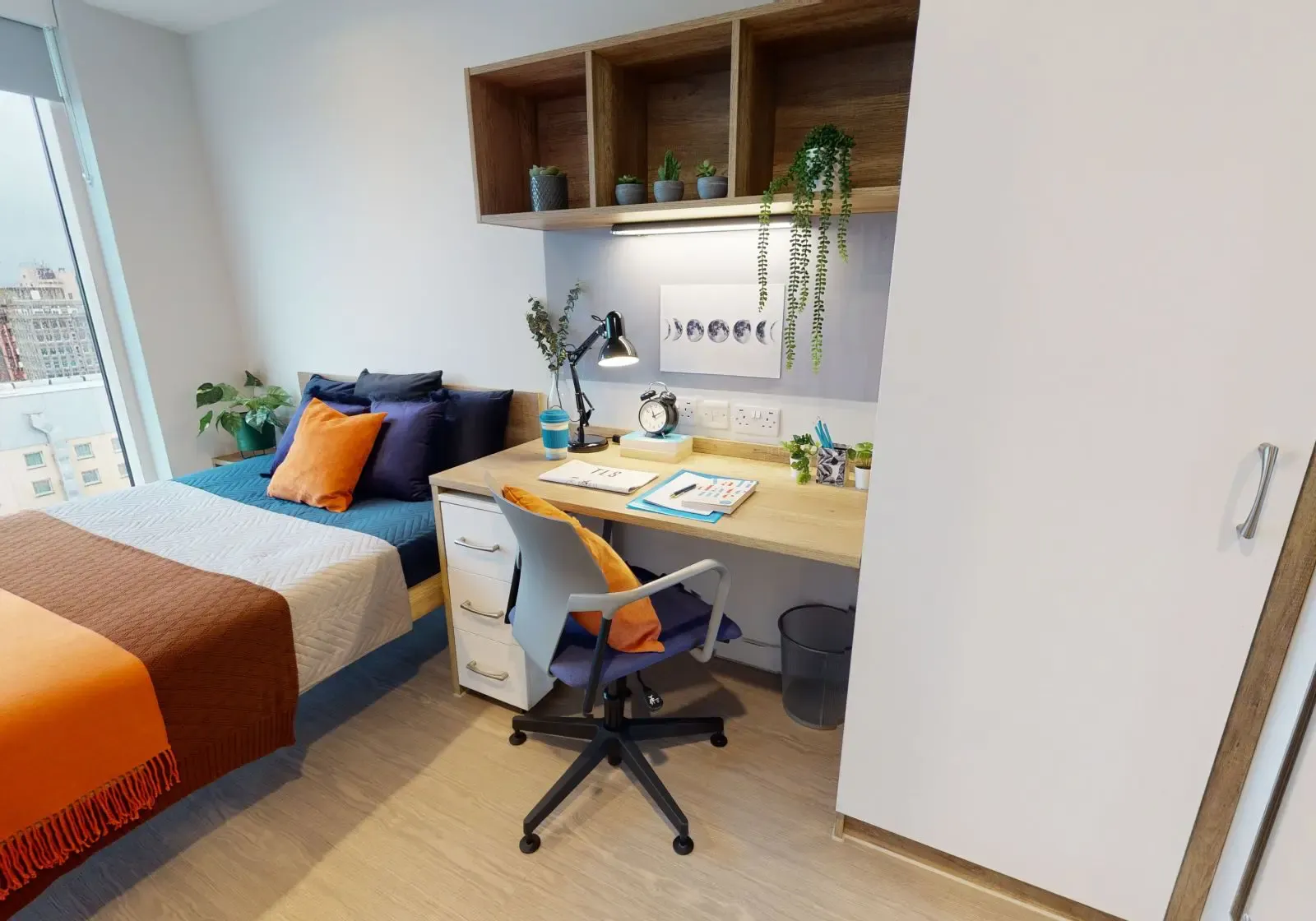 Bronze Studio Plus