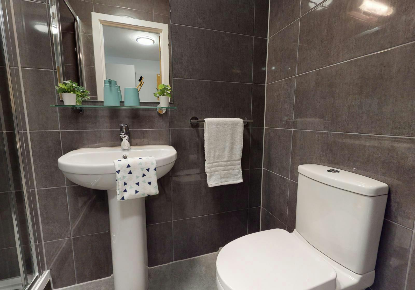 Bronze Studio Premium