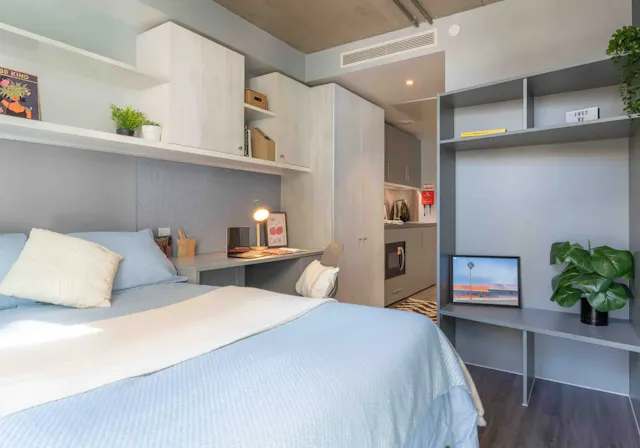 Bronze Studio Premium room image 1