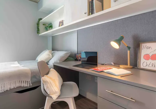 Bronze Studio Premium room image 2