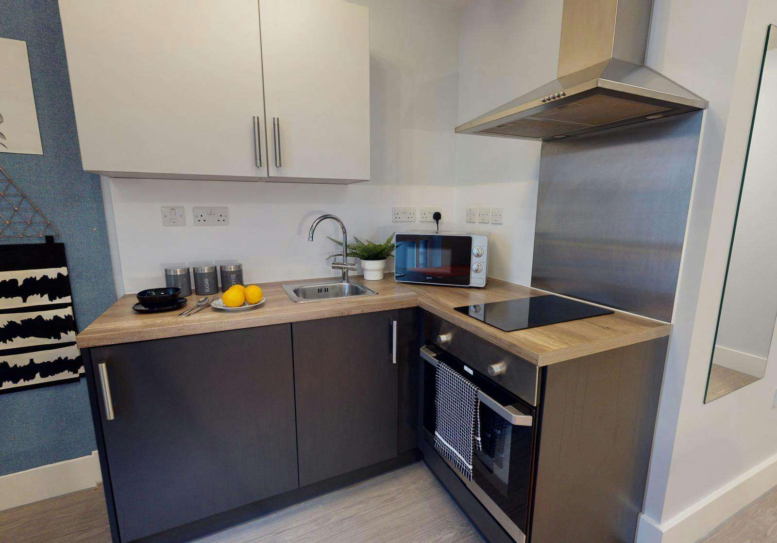 Bronze Studio Premium