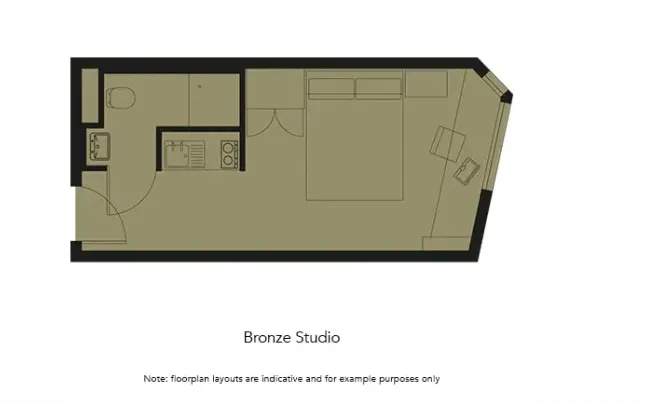 Bronze Studio Plus Lower Level