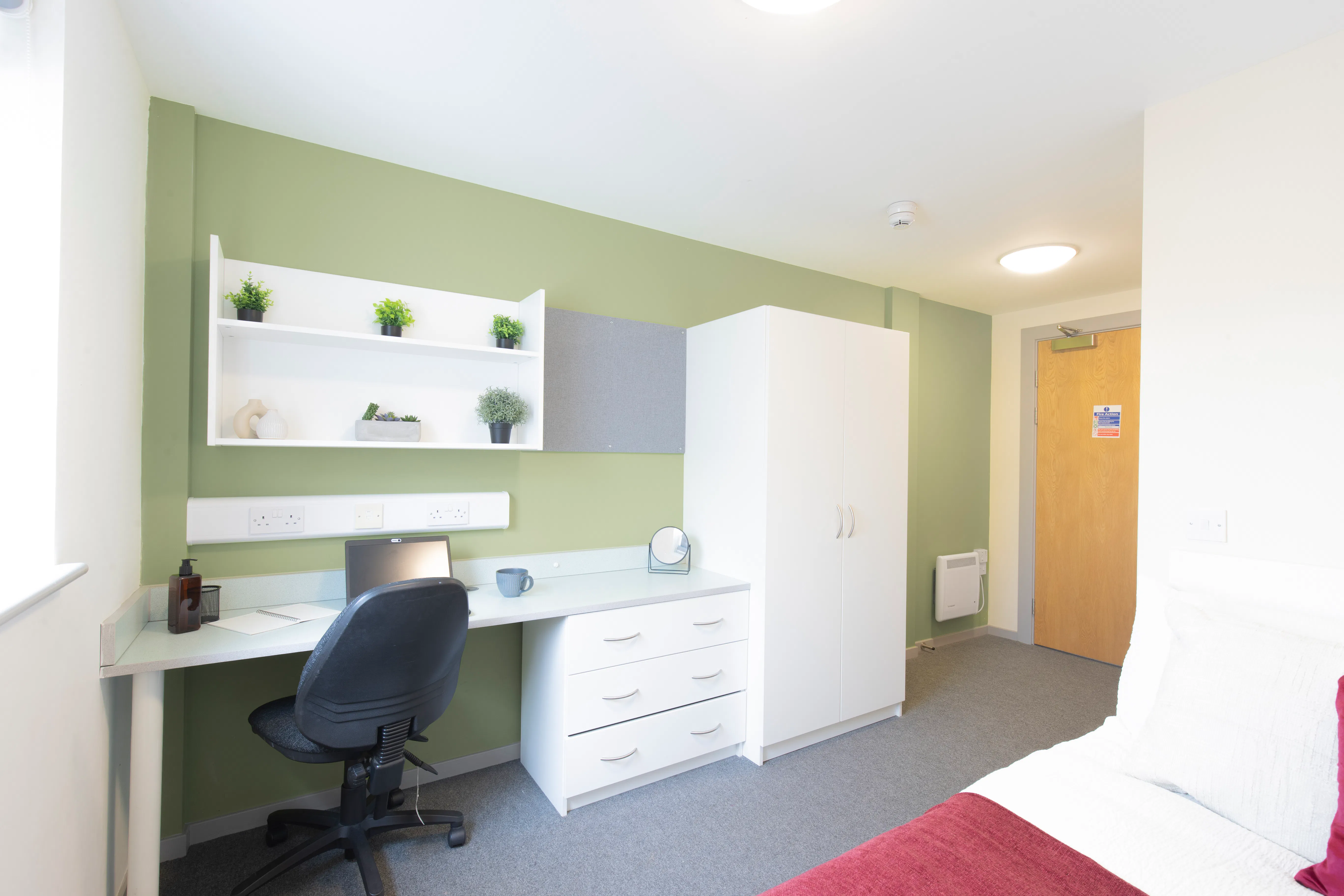 Standard Plus En-suite (Bryson court)