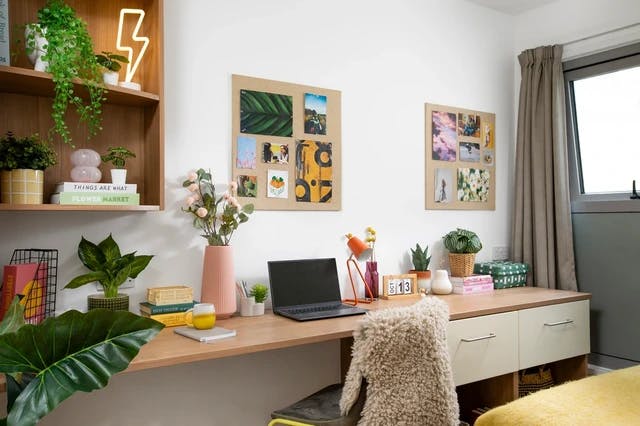 Studio Medium Standard Double