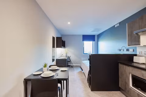 alumno-falmer-brighton-ROOM