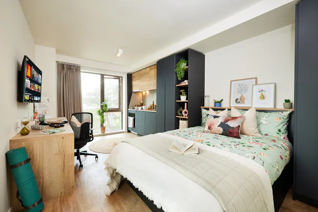 Classic Plus room image 1