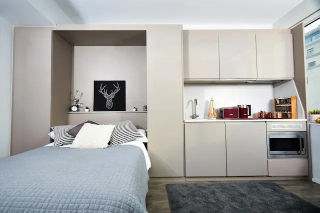Classic Plus room image 1