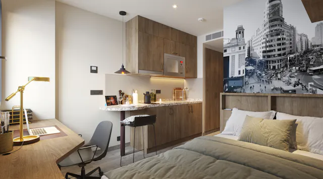 Platinum Studio room image 1