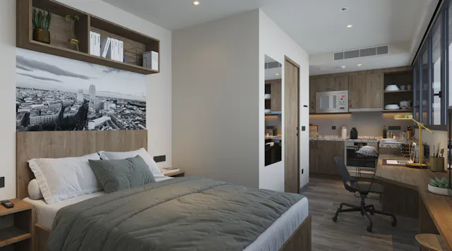 Superior Studio room image 2