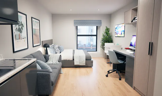 Deluxe Studio room image 1
