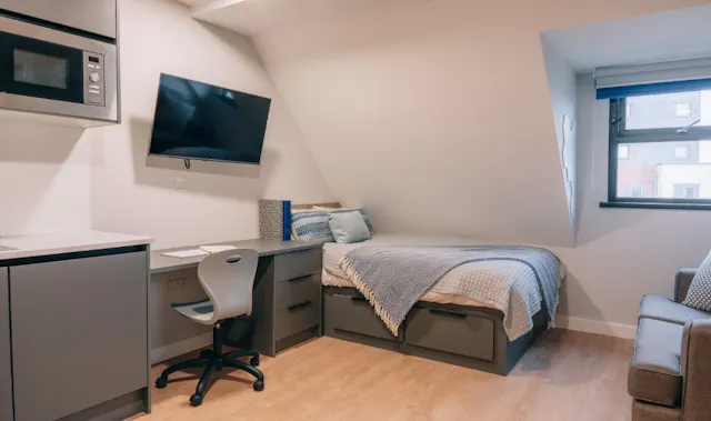 Large Studio room image 1