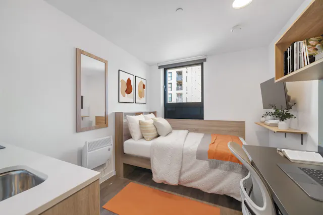 Bronze Studio Penthouse Level room image 1