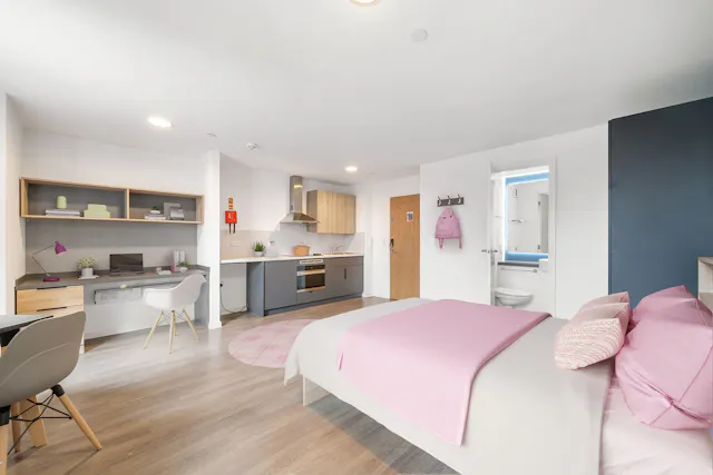 Platinum Studio Penthouse room image 1