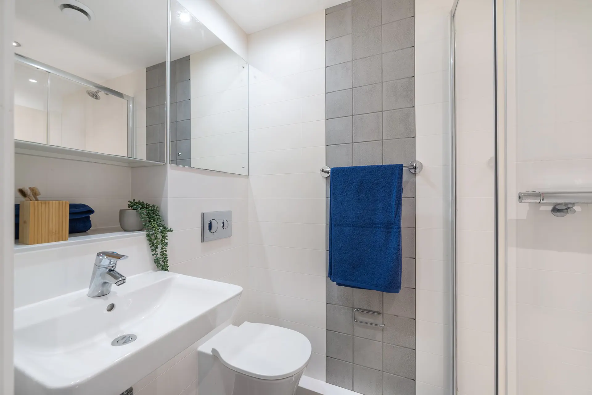 Silver Ensuite Lower Level