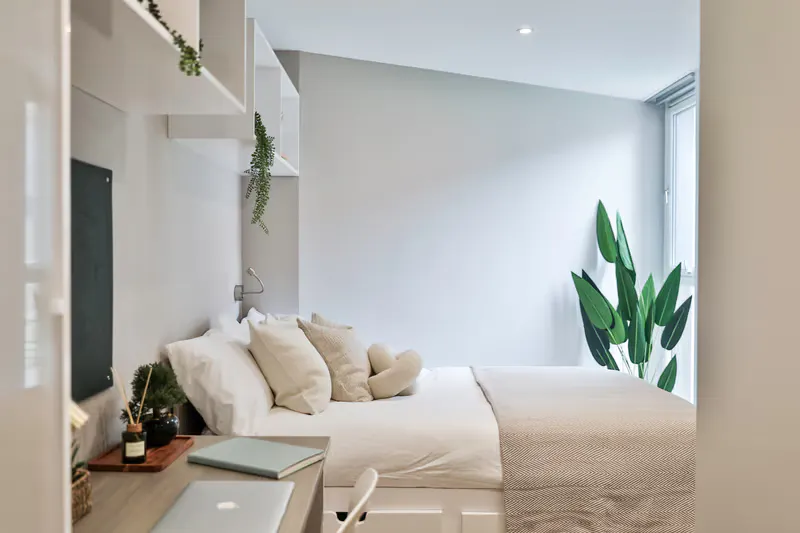 buccleuch-street-edinburgh-Classic 4 Bed Apartment