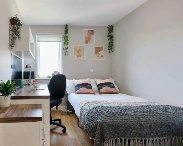 Classic 5 Bed Ensuite room image 1