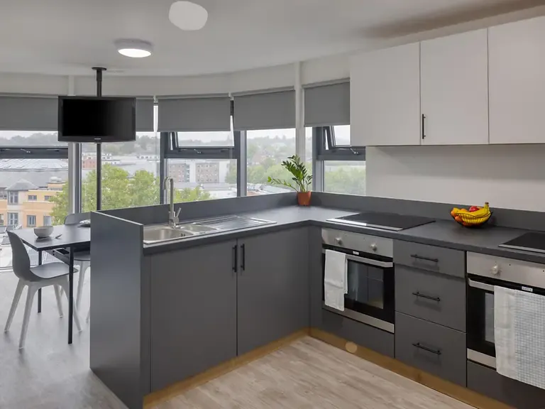 Premium Ensuite KITCHEN 4