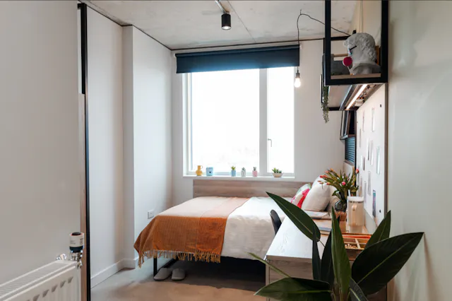 Classic Ensuite room image 2