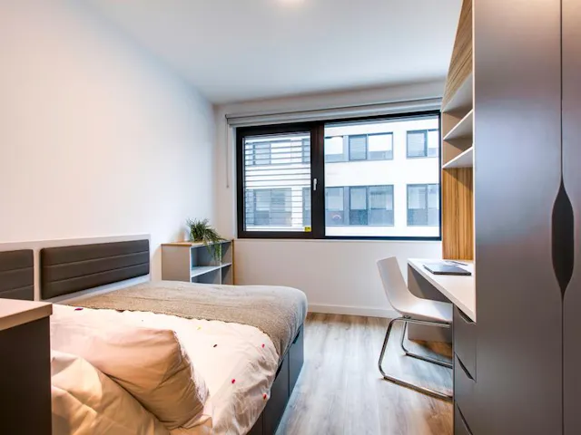 Classic Plus room image 1