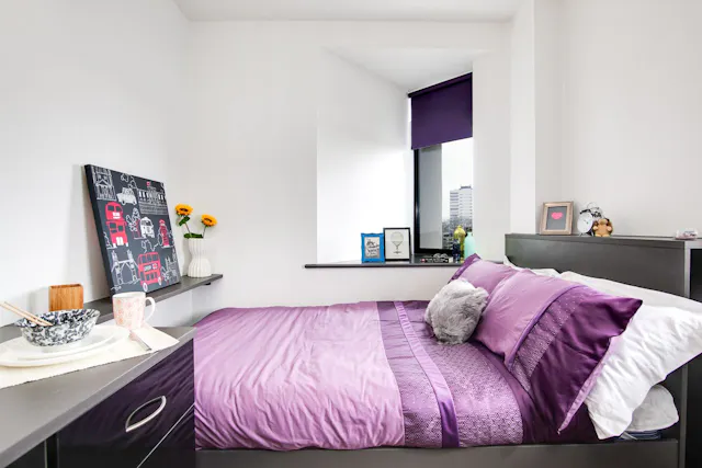Classic Studio Plus room image 1